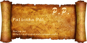 Palicska Pál névjegykártya